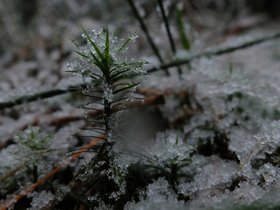 sleet-macro-1.jpg